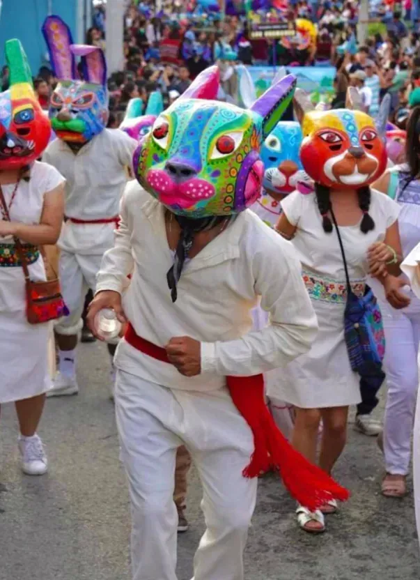 Carnaval de Mojiganga